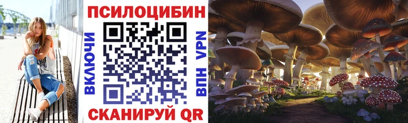 закладка  hydra ССЫЛКА  Псилоцибиновые грибы Psilocybine cubensis  Данилов 